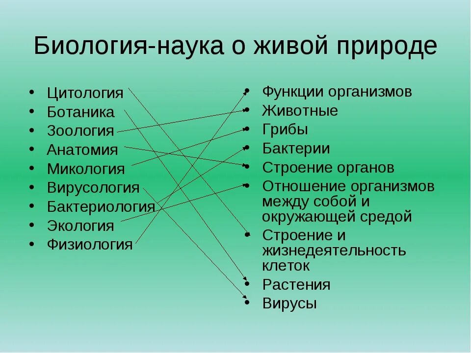 Области науки биологии 5