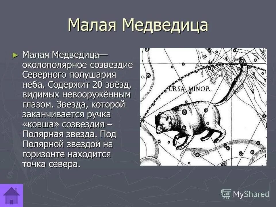 Созвездие малой медведицы 2 класс. Большая и малая Медведица Созвездие рассказ. Рассказ о созвездии малая Медведица. Малая Медведица Созвездие 2 класс.