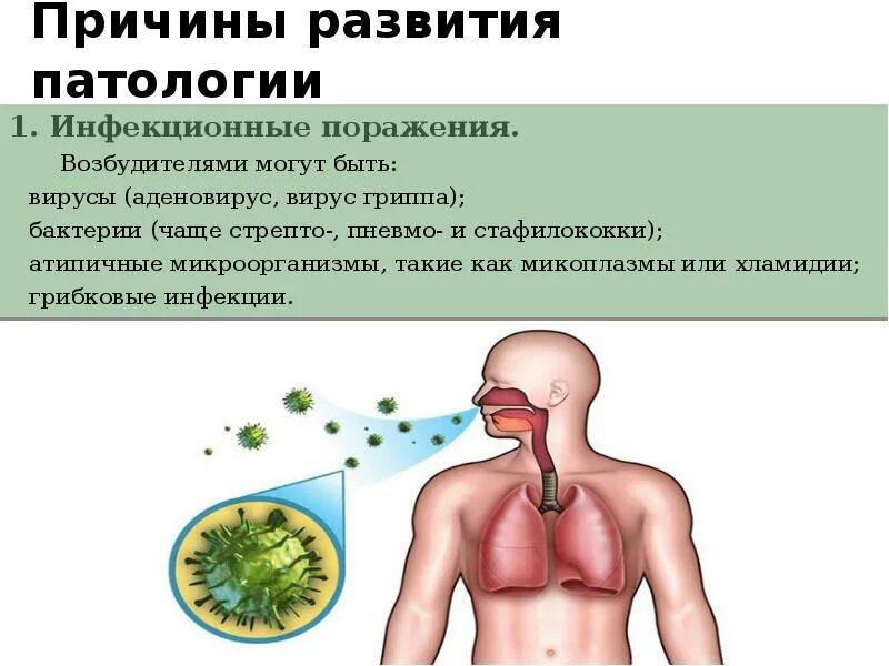 Бронхит заразен или. Бронхит симптомы. Симптомы бронхита у взрослого человека. Бронхит это инфекционное заболевание. Острая инфекция бронхит.