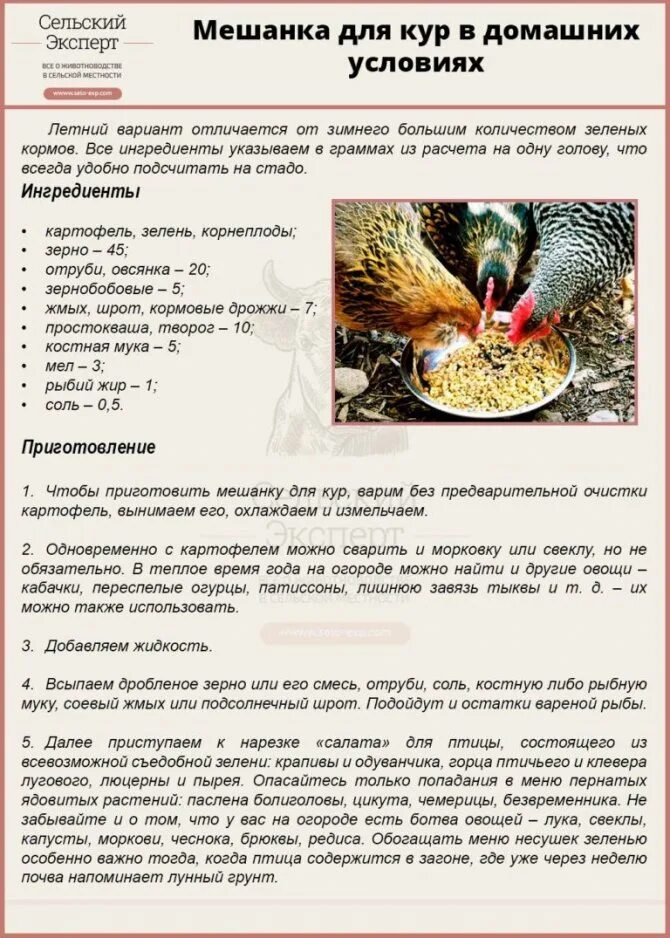 Можно давать картошку курицам