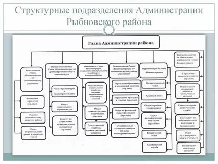 Таблица виды структурных подразделений