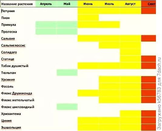 Дизайн миксбордера на солнечном участке