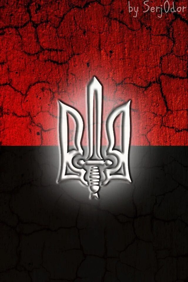 Флаг сектора. Герб правого сектора. Правый сектор эмблема. Герб правого сектора. Флаг сектора.