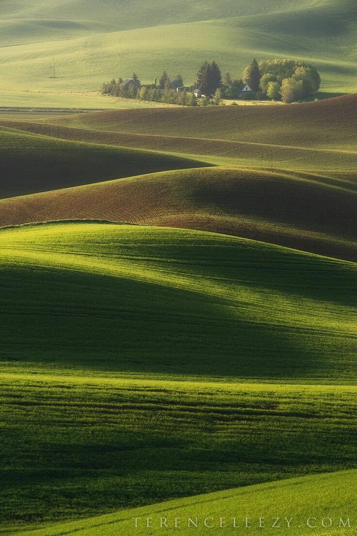 Rolling hills. Rolling Hills. Картинки. Rolling Hills pictures. Palouse Washington.