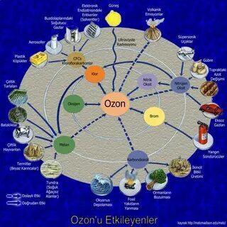 Озон орд