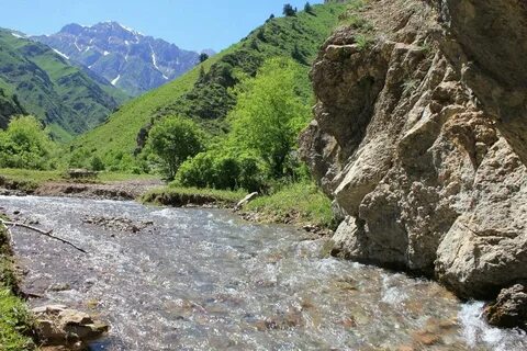 Даре даре дей