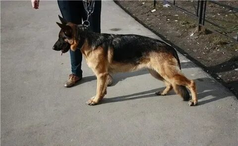 5 6 7 сука