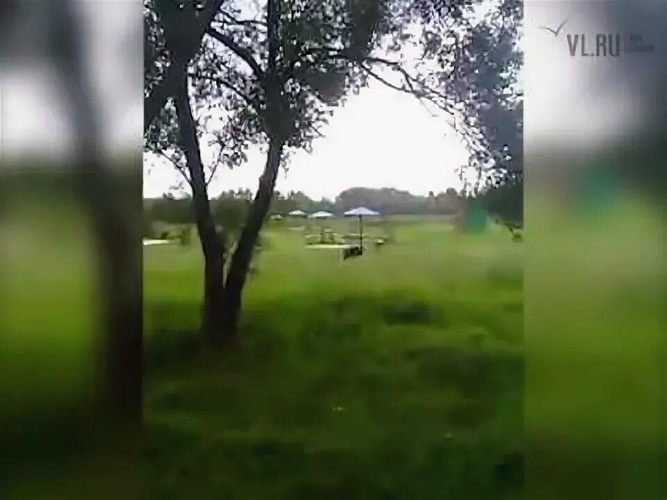 Медведь усть-илимск. Медведь в лучегорске новости. Камчатка медведи. Улица ночью. Покажите видео как ходит медведь.