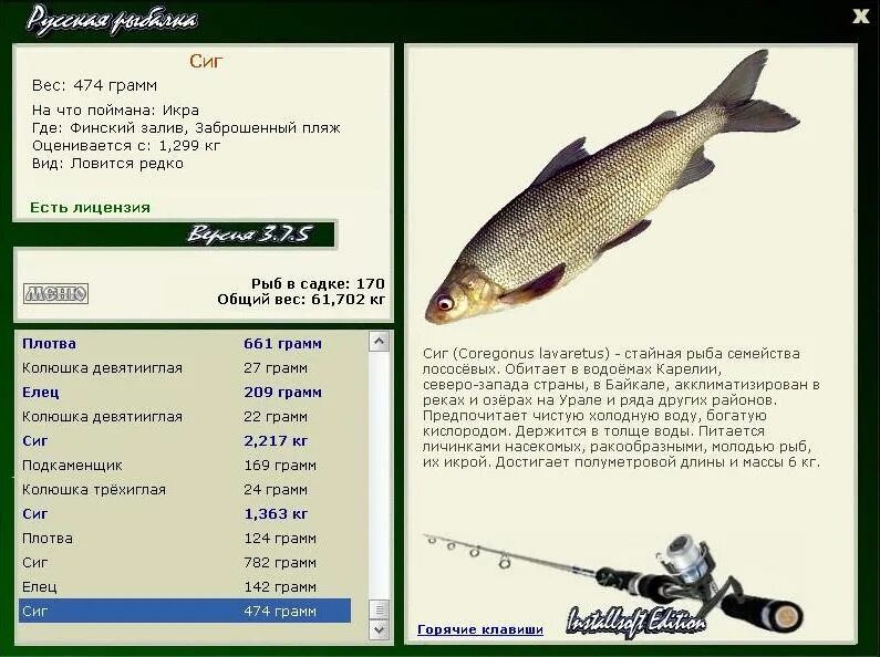 Какую рыбу можно поймать в апреле. Язь 300 грамм. На что ловить леща и язя. Язь рацион. Рыба сиг размер.