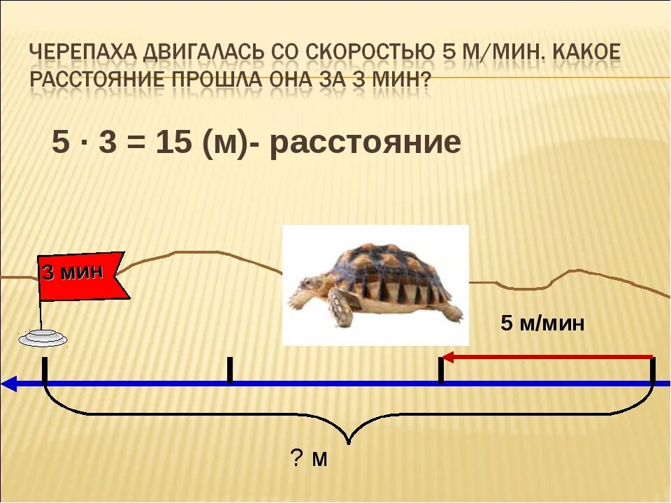 1 ч 8 мин мин. Скорость черепахи м/мин. скорость черепахи. максимальная скорость черепахи. скорость движения черепахи.