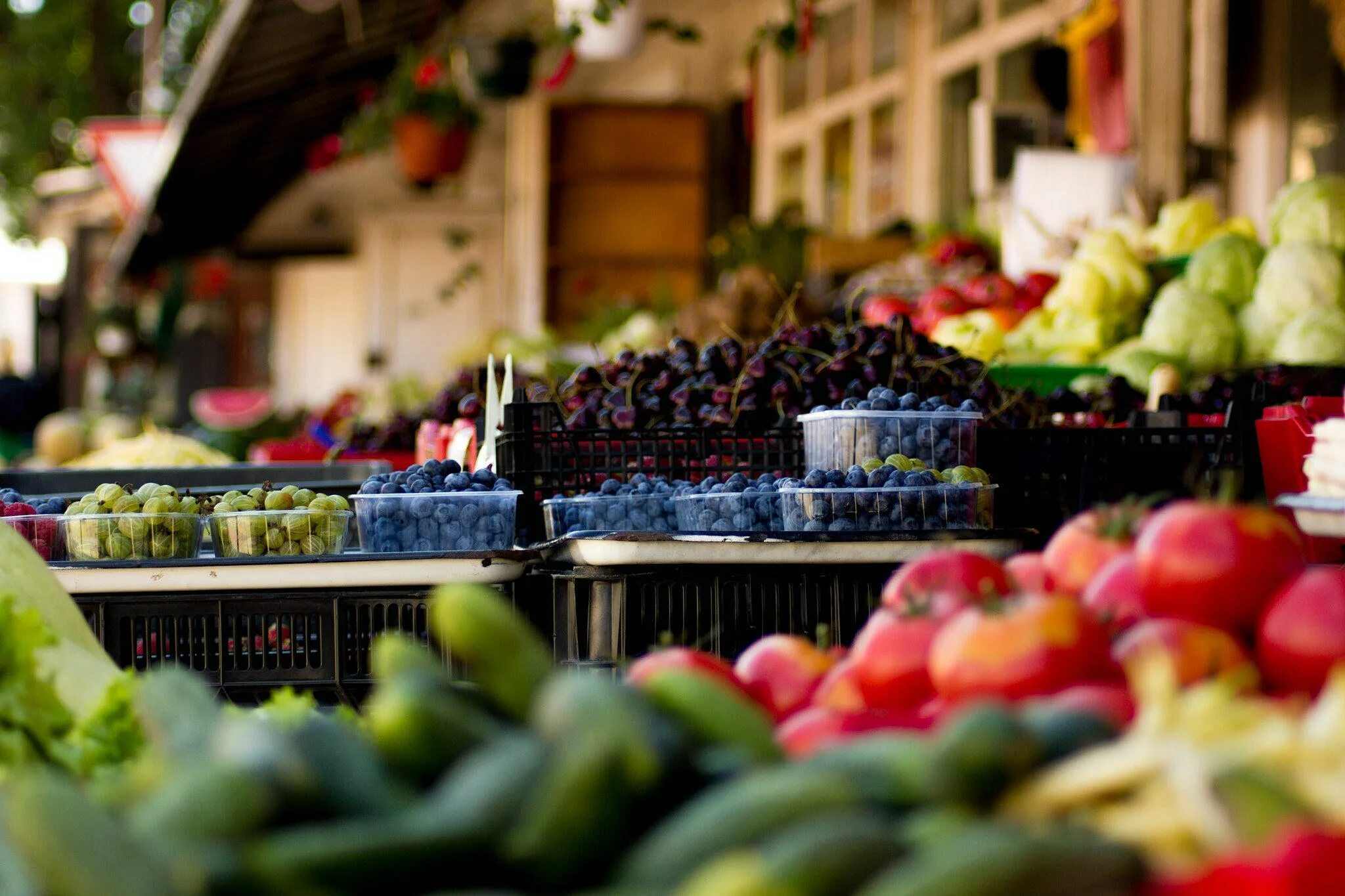 Фон базара. Овощи на рынке. Овощи и фрукты на рынке. Овощной рынок. Прилавок с овощами и фруктами на рынке.