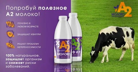 Молоко фразы