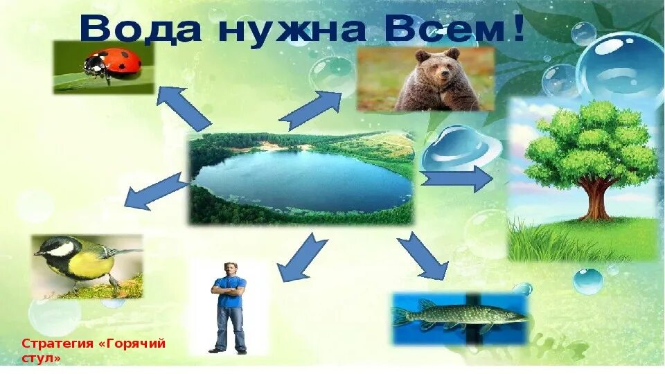 Проект о воде 3 класс Презентация к уроку биологии "Обобщение темы "Вода" к учебнику В.М. Пакуловой, Н