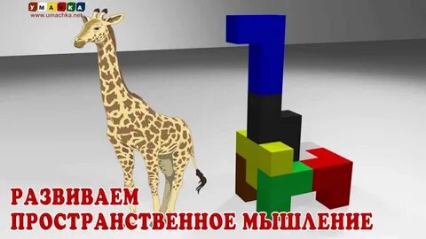 Плоское и объемное мышление