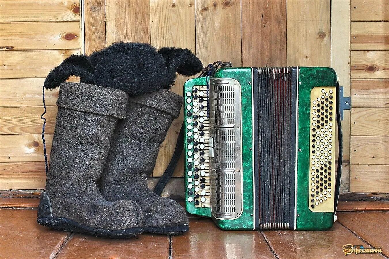 Гармонь и валенки. Баян валенки. Баян валенки. Гармонь и валенки. Марион француженка баянистка.