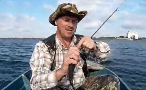 Мальки в реке. Чайка окунь мальки. Малек рыбка. Мальки вид сверху. Микрорасбора галактика личинка.