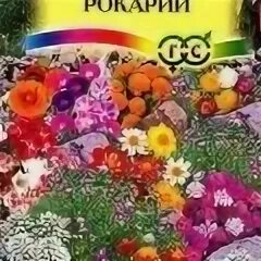 Гавриш сухоцветы. Декоративная смесь рокарий гавриш. Декоративная смесь среднерослая многолетняя гавриш. Декоративная смесь многолетников среднерослых. Смесь сухоцветов 0,5г гавриш.