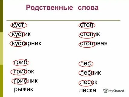 Отметьте группу родственных слов слева налево левша