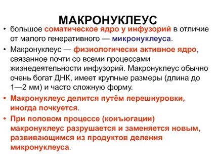 Крупные ядра