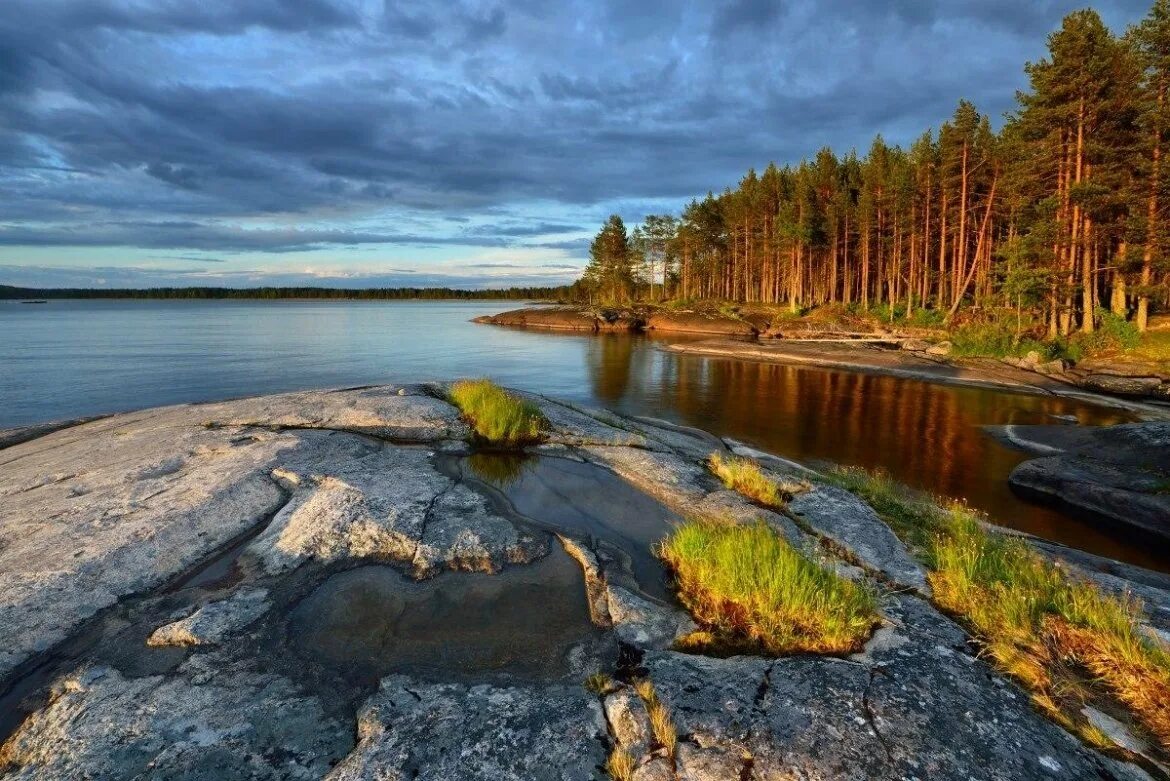 Шардонские острова Карелия. Ладожское озеро Карелия. Озеро Лоянское Карелия. Шардонский архипелаг в Карелии. Озера северной карелии