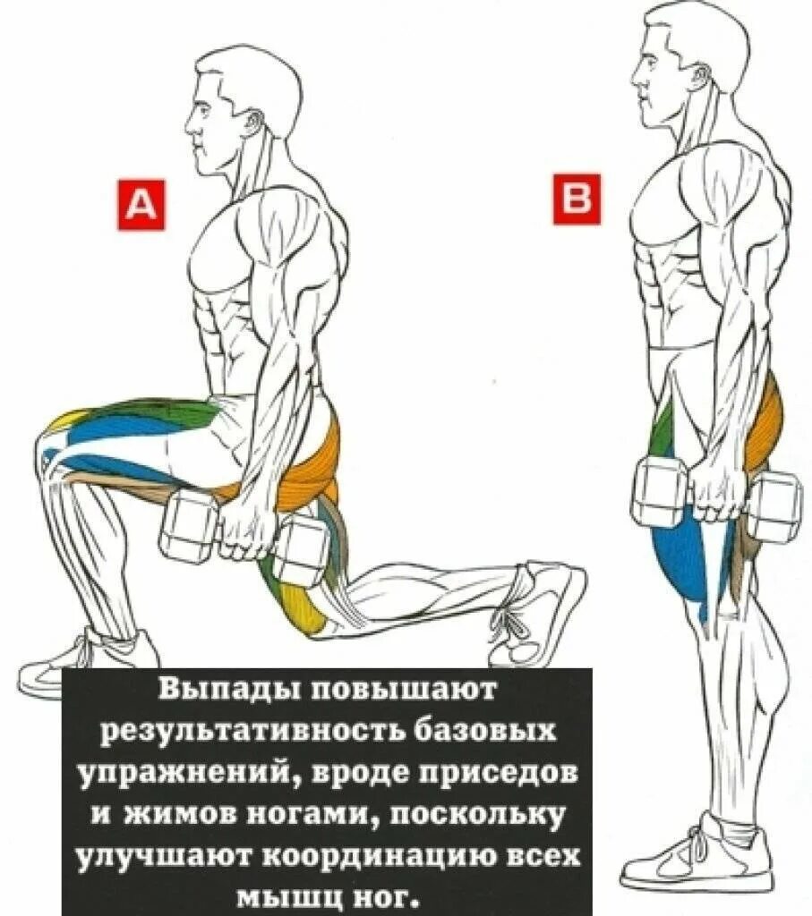 Как начать ноги дома. Тренировка мышц ног. Прокачка мышц ног. Упражнения на ноги.