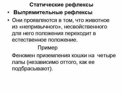 Статичен значение