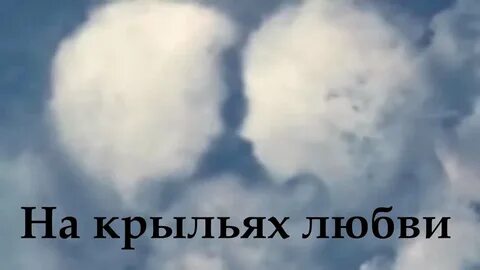 На крыльях любви слова