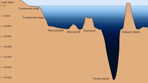 Как узнать уровень моря
