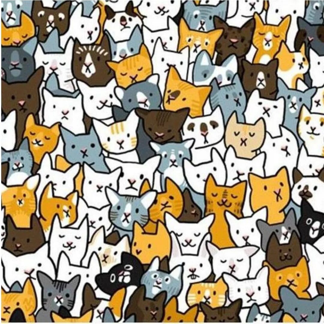 Задания найди кота. Головоломка Найди. Много котиков. Найдите на картинке. Головоломки с котиками.