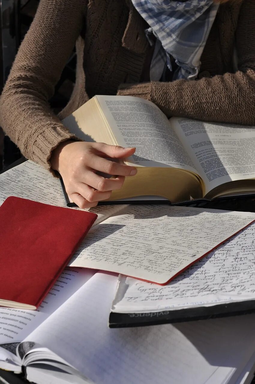 Study reader