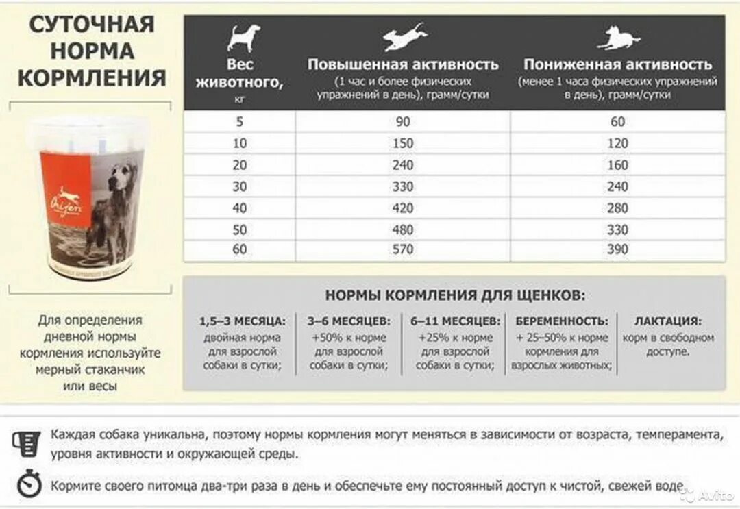 Калорийность сухого корма для щенков. Норма кормления собак сухим кормом. Норма сухого корма для собак 6 кг. Суточная норма корма для собак. Сколько должна пить собака