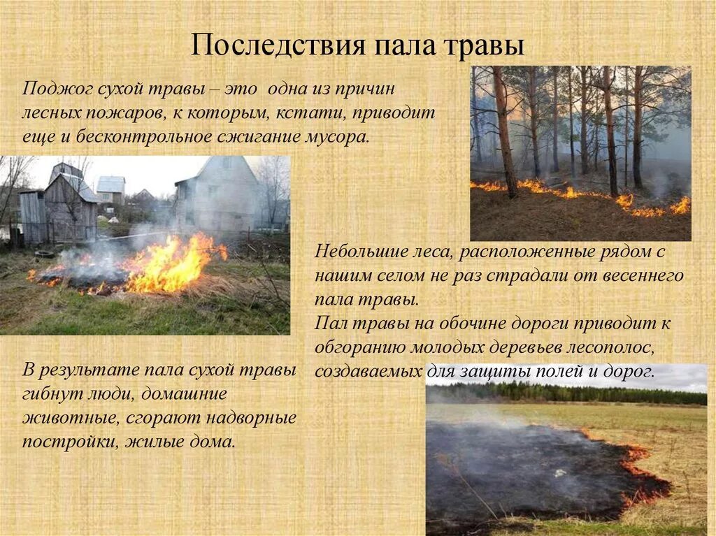 Поджог какая статья