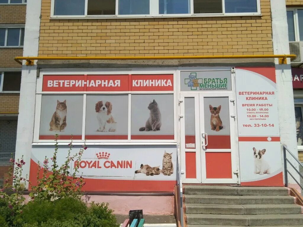 проспект московский 66 брянск. ветеринарная клиника брянск бежицкий район. альфа клиника брянск. ульянова 122 брянск ветклиника. ветарт клиника брянск.