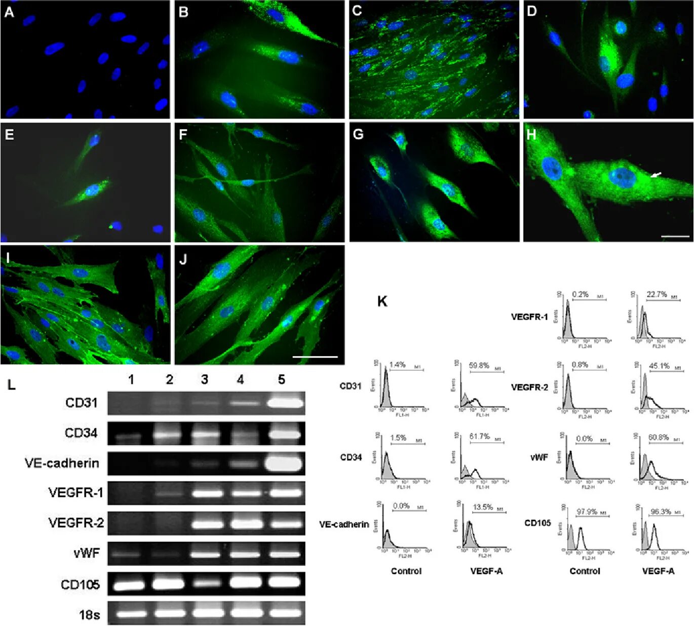 Самосборка наночастиц. C et al 2009. Chemical space. Нейронная сеть мозга. Пептидо нуклеиновые кислоты.