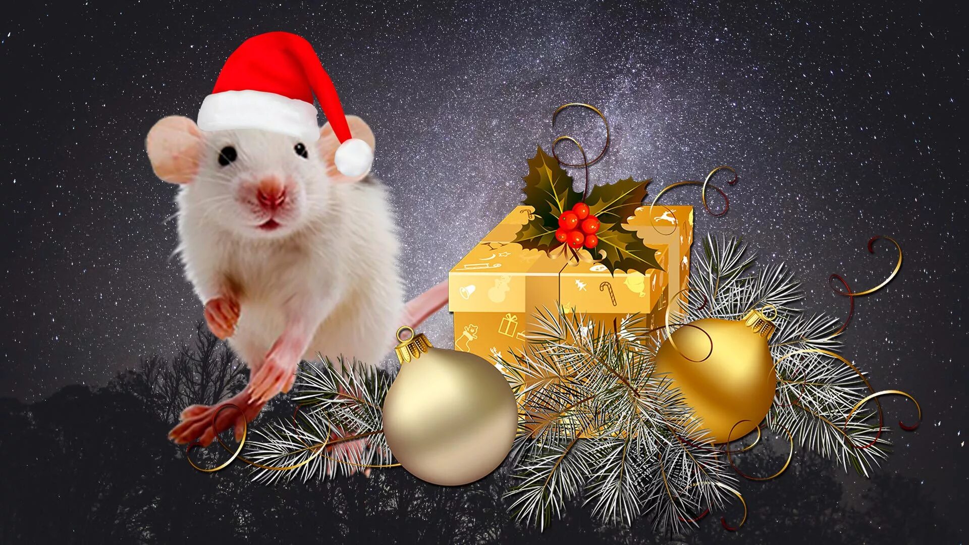 Крыса новый год. Новогодняя мышка. С новым годом крысы. Новый год 2020 крысы. 2020 фото новый год