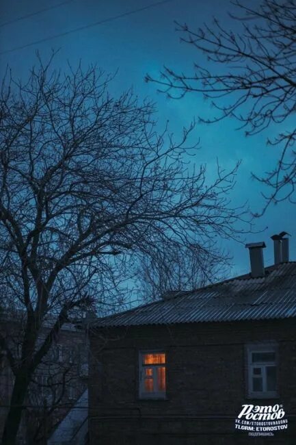 Попадаешь в его сети пропадаешь навсегда. Попадаешь в его сети пропадаешь навсегда