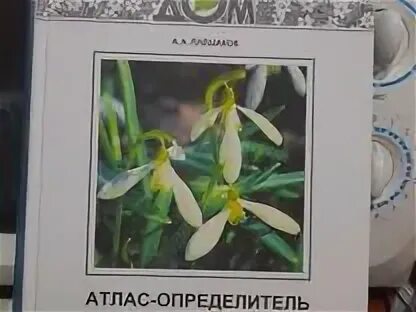 Атлас определитель плешаков 1