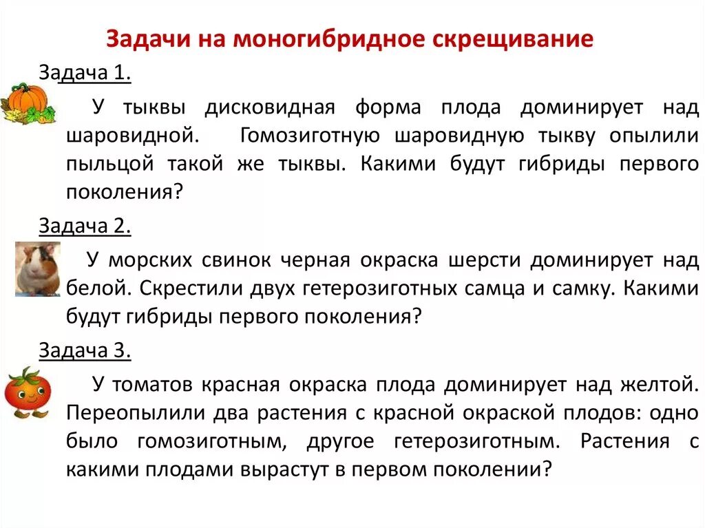 Составьте и решите задачу на моногибридное скрещивание. Задачи по генетике на моногибридное скрещивание 9 класс. Решение задач на генетику 9 класс на моногибридное скрещивание. Моногибридное скрещивание задачи с решением генетика. Генетические задачи 9кл на моногибридное скрещивание.