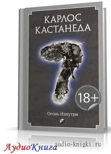 карлос кастанеда книга 8 сила безмолвия. слушать аудиокниги кастанеды по порядку. кастанеда карлос активная сторона аудиокнига. карлос кастанеда интервью и лекции. путешествие в икстлан книга.