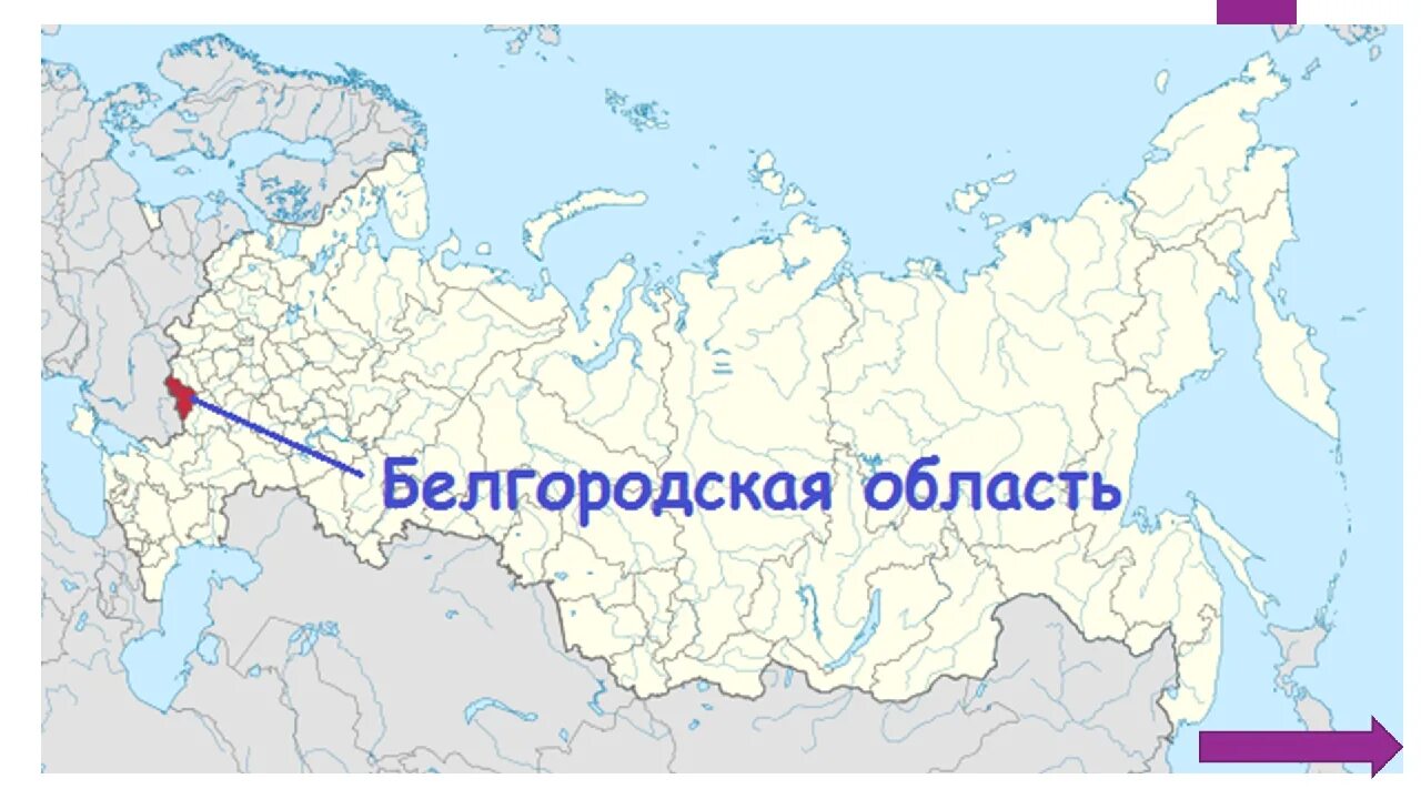 Карта России Белгородская область на карте России. Белгород на карте РФ. Белгородская обл на карте России. Белгород область на карте России. Местоположение какой город