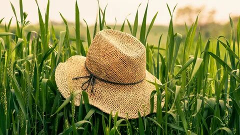 Rock fruit straw hat