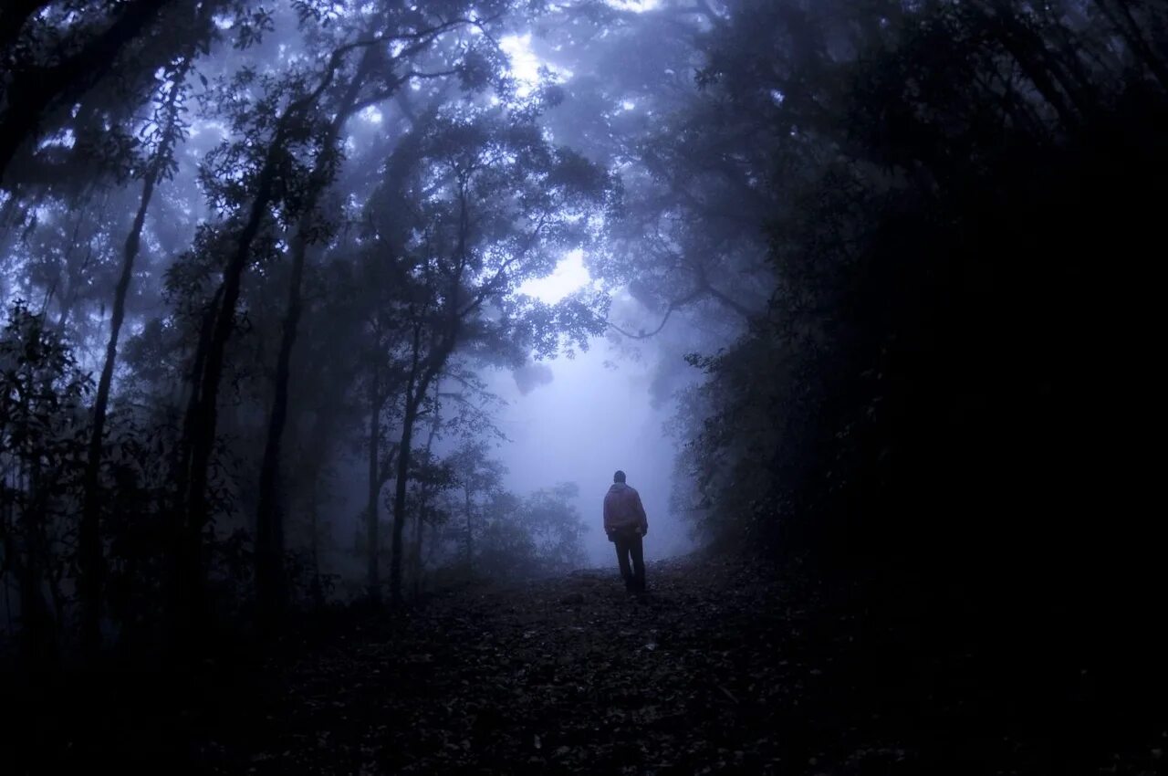 Путники медленно пробирались в глубину лесной чащи. Человек в лесу ночью. Человек в ночном лесу. Человек в темном лесу. «Ночь в лесу».