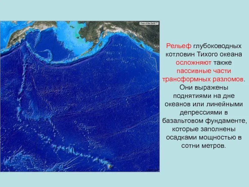 Рельеф дна Тихого океана котловины. Карта рельефа дна мирового океана. Рельеф дна морей Тихого океана. Рельефы Тихого океана 7 класс география. Рельеф на дне мирового океана