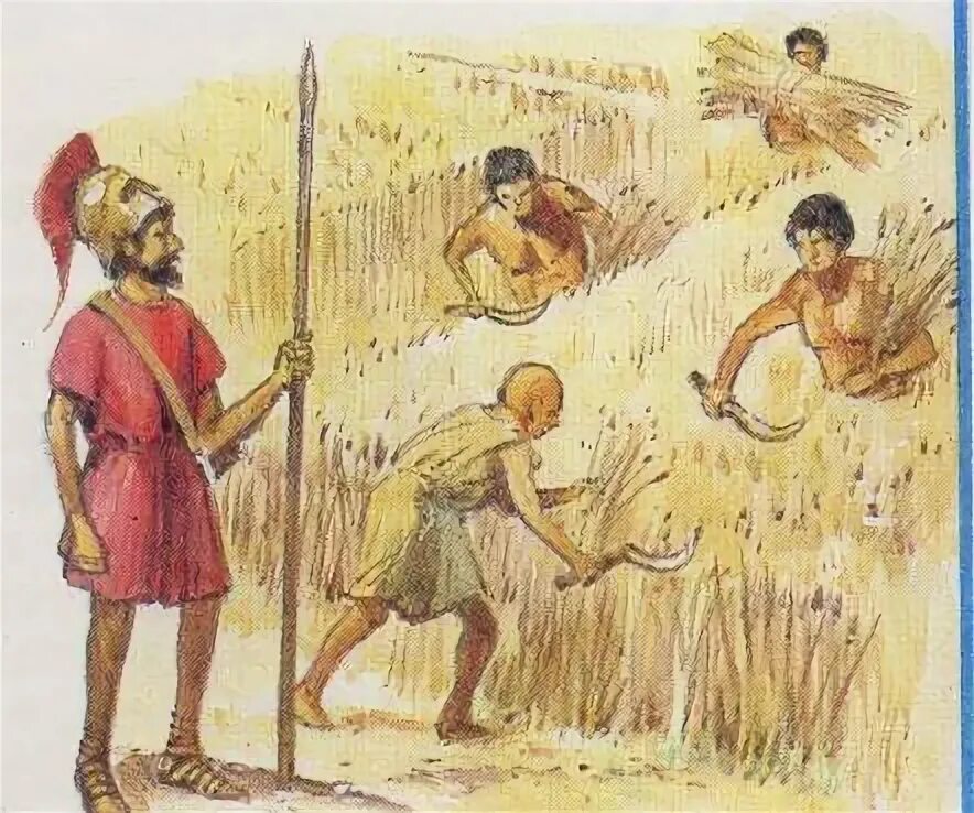 Как выглядели люди в спарте Battle Tactics of the Ancient Greeks Ancient war, Greek warrior, Ancient warrior