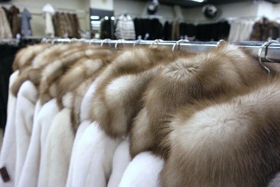 Шуба стоила 32000 рублей. Шуба стоила 32000 рублей. Шуба стоила 32000 рублей. Шуба стоила 32000 рублей. Шуба стоила 32000 рублей.