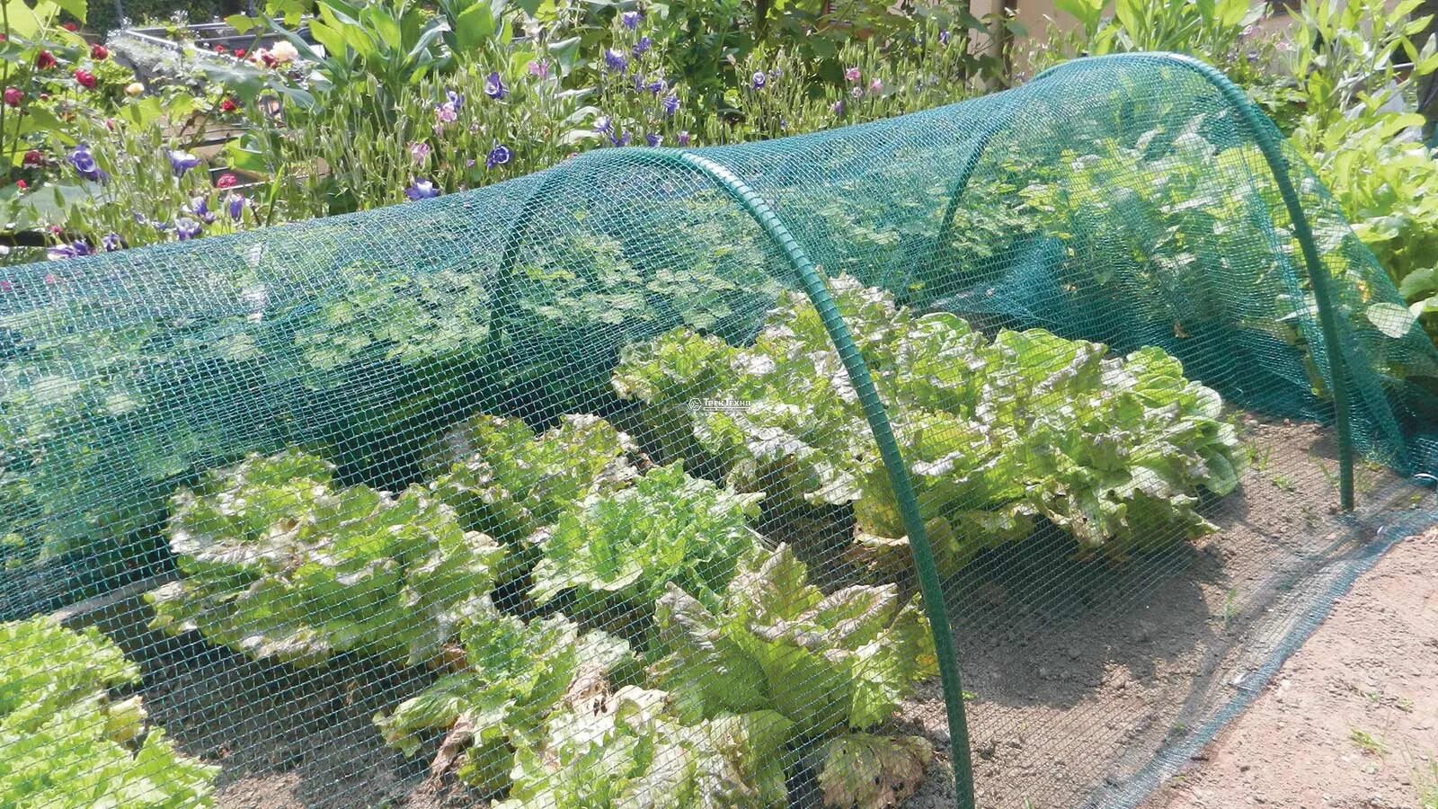 Забор рабица 7024. Сетка-рабица 50*50*1. Использование сеток. Сетка рабица 5 5 1. Использование сеток.