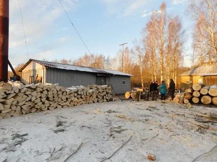 Погода борисово вологодская область бабаевский