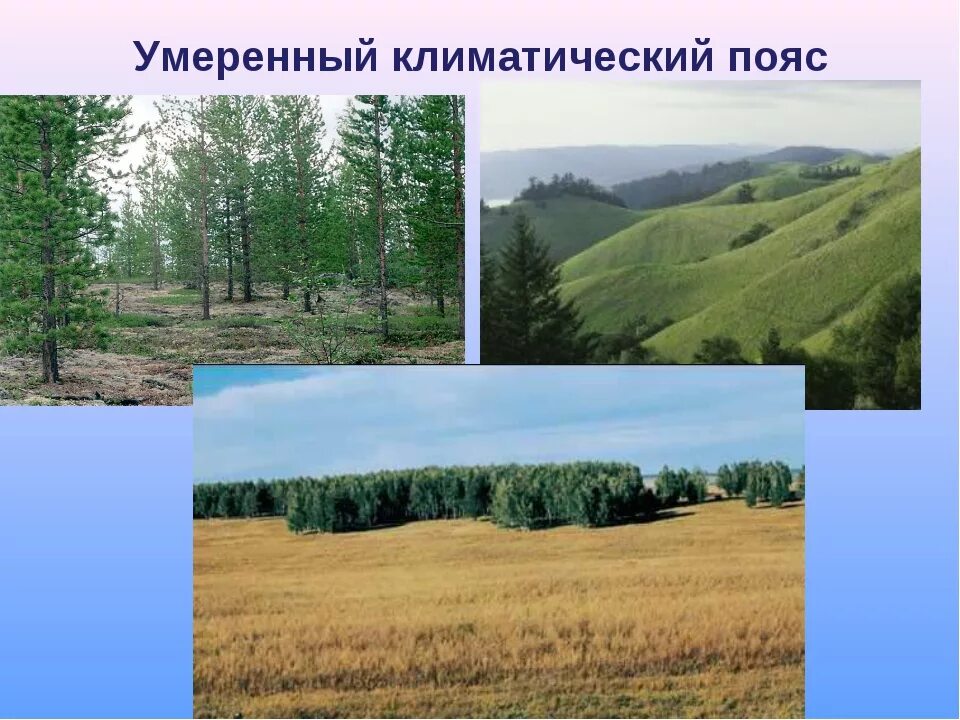 Краткое описание умеренного климата. Умереныйклиматический пояс. умеренный климат. умеренного пояса. климат умеренного пояса.