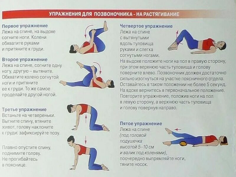 Тянет поясницу отдает в ягодицу