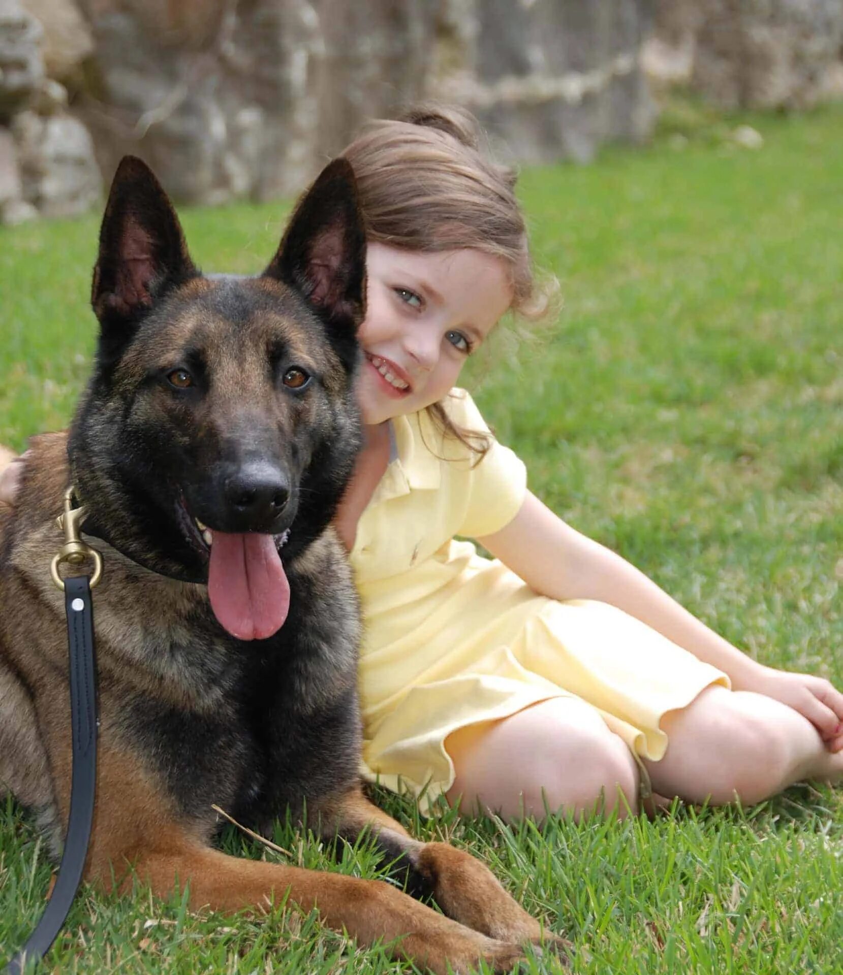 Where is her dog. Овчарка Райд. K9lady. K9 Candy. Little Zoo собаки.